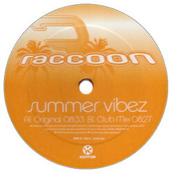 Raccoon Summer Vibez Vinyl 12" USED