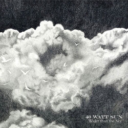 40 Watt Sun Wider Than The Sky Vinyl 2 LP USED