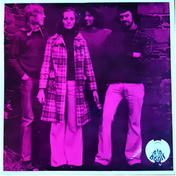 Brân Brân Vinyl 7" USED