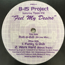 B-15 Project Feel My Desire Vinyl 12" USED