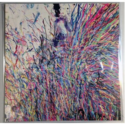 The Flaming Lips The Time Has Come To Shoot You Down... What A Sound Vinyl LP USED