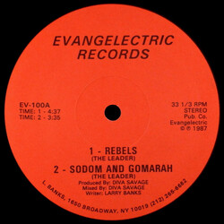 The Leader (3) / Subculture 9 Rebels Vinyl 12" USED