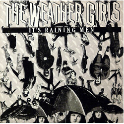 The Weather Girls It's Raining Men Vinyl 12" USED