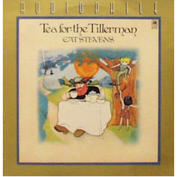 Cat Stevens Tea For The Tillerman Vinyl LP USED
