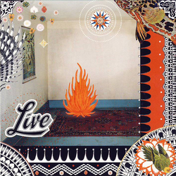 Live The Dolphin's Cry CD USED