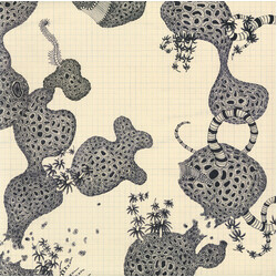 The Shins Wincing the Night Away Vinyl LP USED