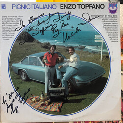 Enzo Toppano Picnic Italiano Vinyl LP USED