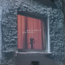 Wyldest Monthly Friend Vinyl LP USED