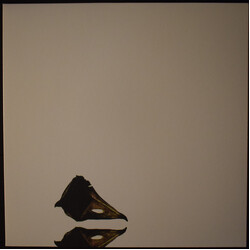 Coil The New Backwards Vinyl LP USED