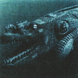 Rainforest Spiritual Enslavement Black Magic Cannot Cross Water Vinyl 12" USED