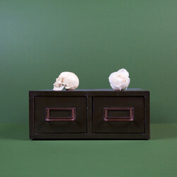 Tropic Of Cancer Archive: The Downwards Singles Vinyl 12" USED