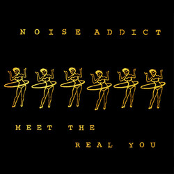 Noise Addict Meet The Real You Vinyl LP USED