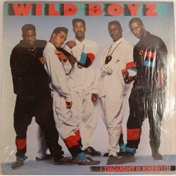 The Wild Boyz I Thought U Knew!!!! Vinyl 12" USED