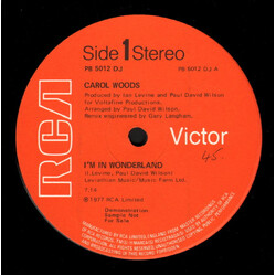 Carol Woods I'm In Wonderland Vinyl 12" USED