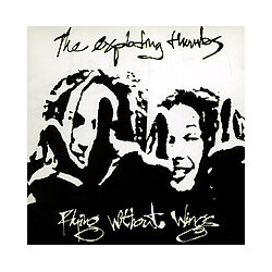The Exploding Thumbs Flying Without Wings Vinyl LP USED