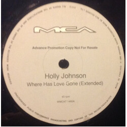 Holly Johnson Where Has Love Gone? Vinyl 12" USED