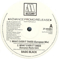 Basic Black What Ever It Takes Vinyl 12" USED