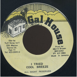 Cool Breeze (9) I Tried Vinyl 7" USED