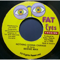 Beenie Man Nothing Gonna Change Vinyl 7" USED
