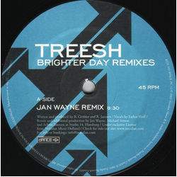 Treesh Brighter Day Remixes Vinyl 12" USED