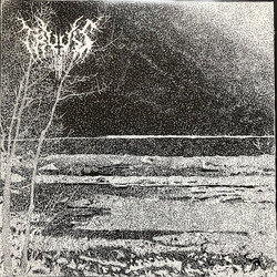 Truus (4) Dawn of Perdition Vinyl 12" USED