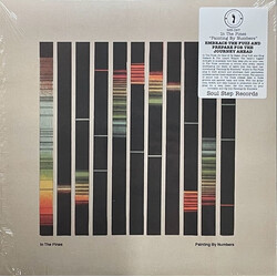 In The Pines (3) Painting By Numbers Vinyl LP USED