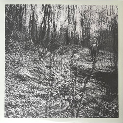 Topographies Interior Spring Vinyl LP USED