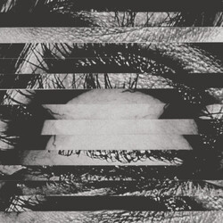 A Place To Bury Strangers Re-Pinned Vinyl LP USED