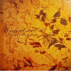 Hiroki Mizukami Keep Alive EP Vinyl 12" USED