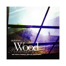 autumn... Wood Remixes Vinyl 12" USED