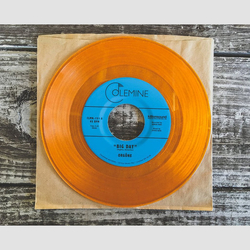 Orgone Big Day Vinyl 7" USED