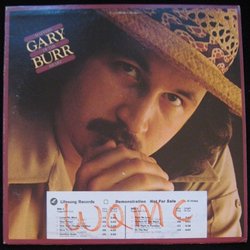 Gary Burr Matters Of The Heart Vinyl LP USED