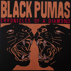 Black Pumas Chronicles Of A Diamond Vinyl LP USED