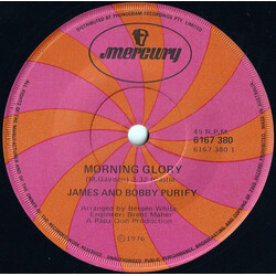 James & Bobby Purify Morning Glory Vinyl 7" USED