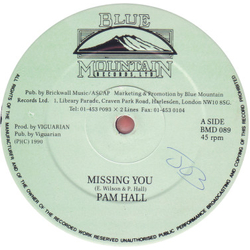 Pam Hall Missing You Vinyl 12" USED