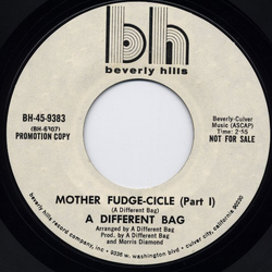 A Different Bag Mother Fudge-Cicle Vinyl 7" USED