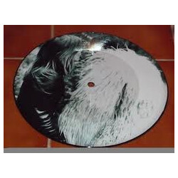 Judy Dyble Fragile USED VINYL 7INCH SINGLE LIMITED EDITION PICTURE DISC