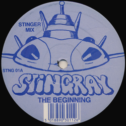 The Beginning Stingray Vinyl 12" USED