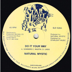 Natural Mystic (2) Do It Your Way / Losing Control Vinyl 12" USED