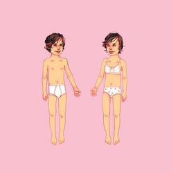Parenthetical Girls (((GRRRLS))) CD USED