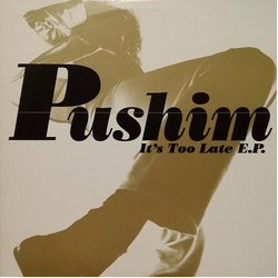 Pushim It's Too Late E.P. Vinyl 12" USED