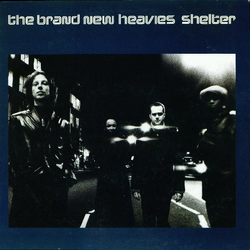 The Brand New Heavies Shelter Vinyl 12" USED