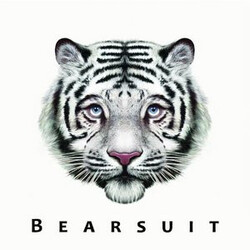 Bearsuit The Phantom Forest Vinyl LP USED