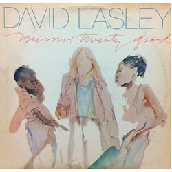 David Lasley Missin' Twenty Grand Vinyl LP USED