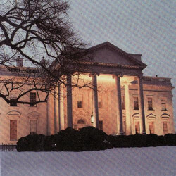 The Dead C The White House Vinyl LP USED