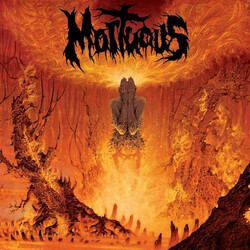 Mortuous Upon Desolation Vinyl LP USED