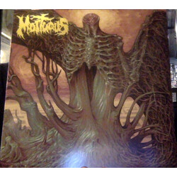 Mortuous Through Wilderness Vinyl LP USED