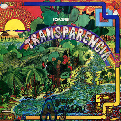 Grupo Água Transparencia Vinyl LP USED