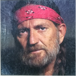 Willie Nelson Willie Nelson Vinyl 10 LP Box Set USED