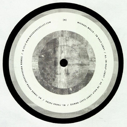 Michael Wells (10) In Half Light Vinyl 12" USED